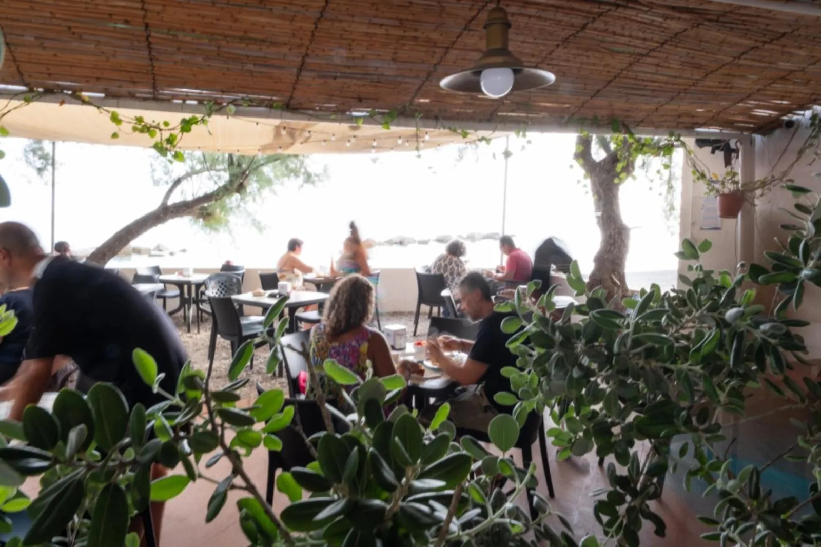 Testa Di Monaco - Basic Beach Accommodations Capo d'Orlando